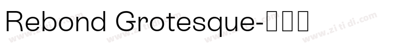 Rebond Grotesque字体转换 Rebond Grotesque字体转换